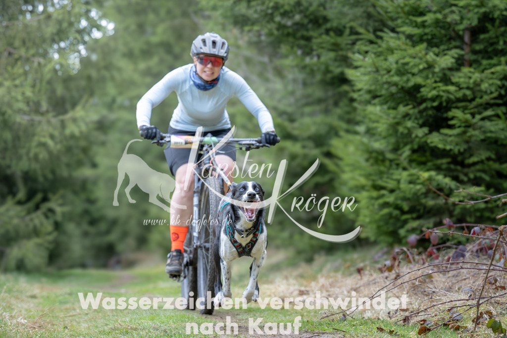 1309_ZZ93692 | kk-dogfotos