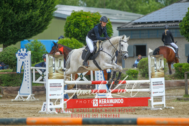 DKP41594 | Turniersportfotografie; Pferdefotografie; Dressurfotografie