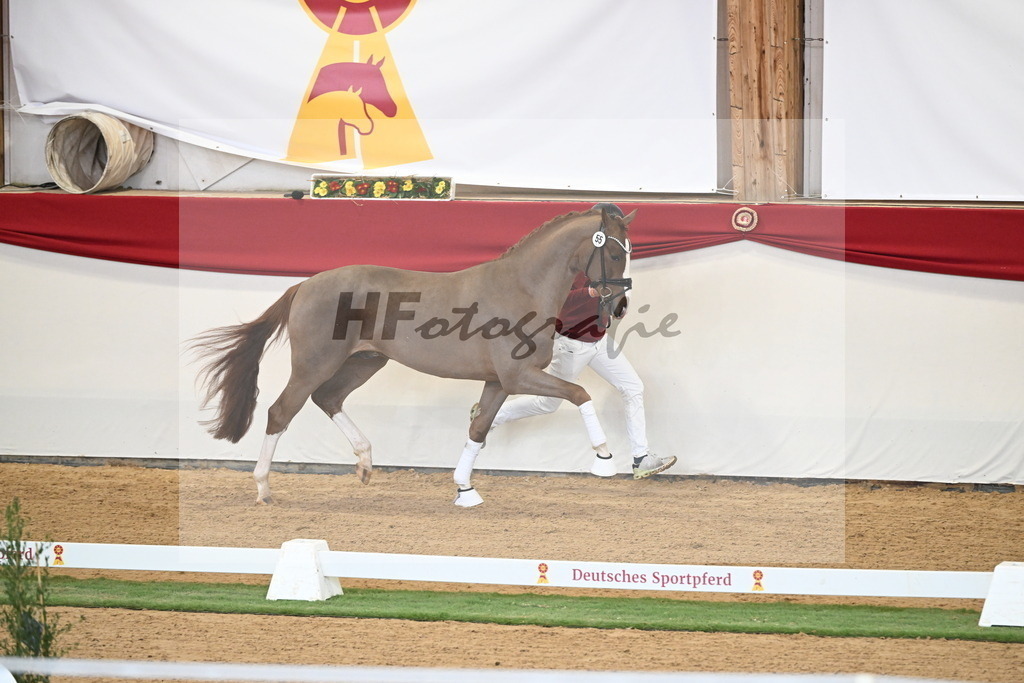 Kat.-Nr. 55 v. Ellis_Senf _ Kampmann_2250397 | hf-fotografie - Realisiert mit Pictrs.com