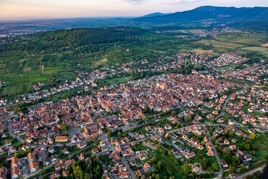 Vue aérienne: Vue de la ville depuis le nord à Rosheim dans le département Bas Rhin, France. Photo: IMG_137997.jpg prise le 19/08/2023 par Werner Riehm/FLY-FOTO.eu – Résolution de l'original: 5094 x 3396 px