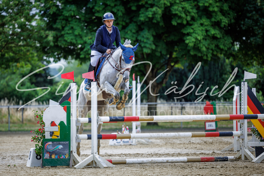 20260705-_3LI4139 | Tierfotografie Pferde, Hunde, Katzen, Haustiere.
Turnierfotografie Reitturniere, Reiten, Springreiten, Dressur in Hanau, dem Main-Kinzig-Kreis und dem Rhein-Main- Gebiet um Frankfurt
