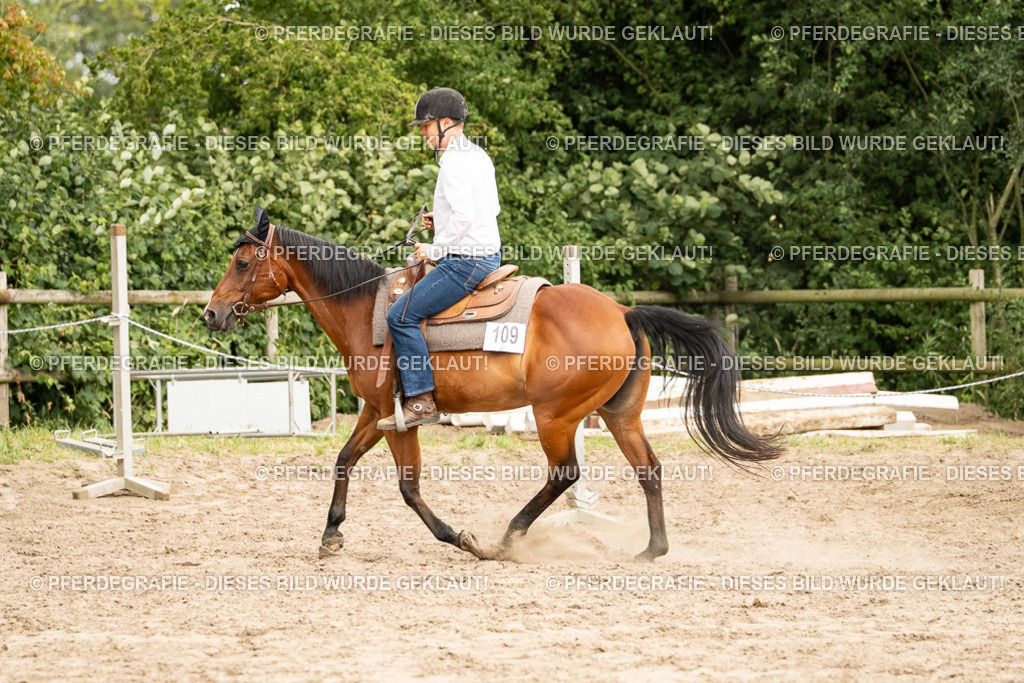 DSC00793 | Pferdegrafie