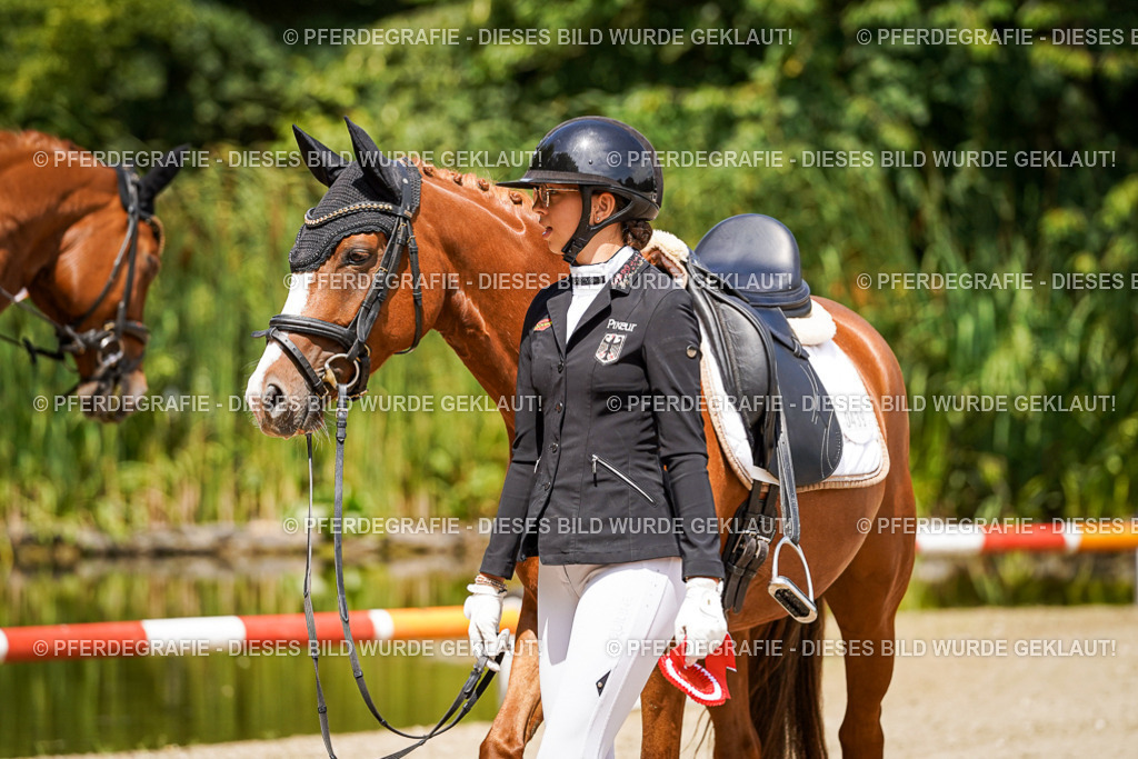 DSC01929 | Pferdegrafie