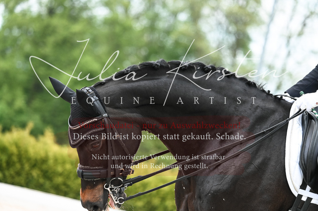 20230513_JK-Röhrsdorf-13-443 | Pferde- und Turnierfotografie in Westsachsen. Pferdeportraits, Auftragszeichnungen und intuitive Kunst.