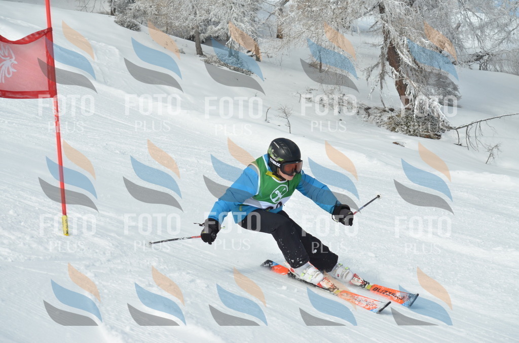 D8724 | holidayphoto