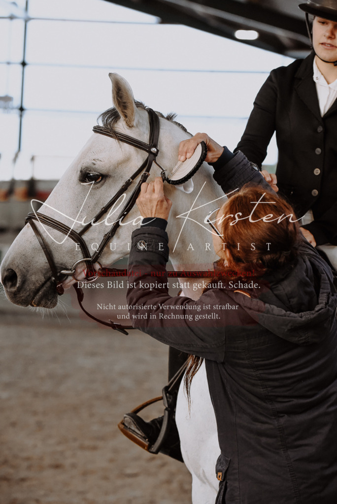DSC_7506 | Pferde- und Turnierfotografie in Westsachsen. Pferdeportraits, Auftragszeichnungen und intuitive Kunst.