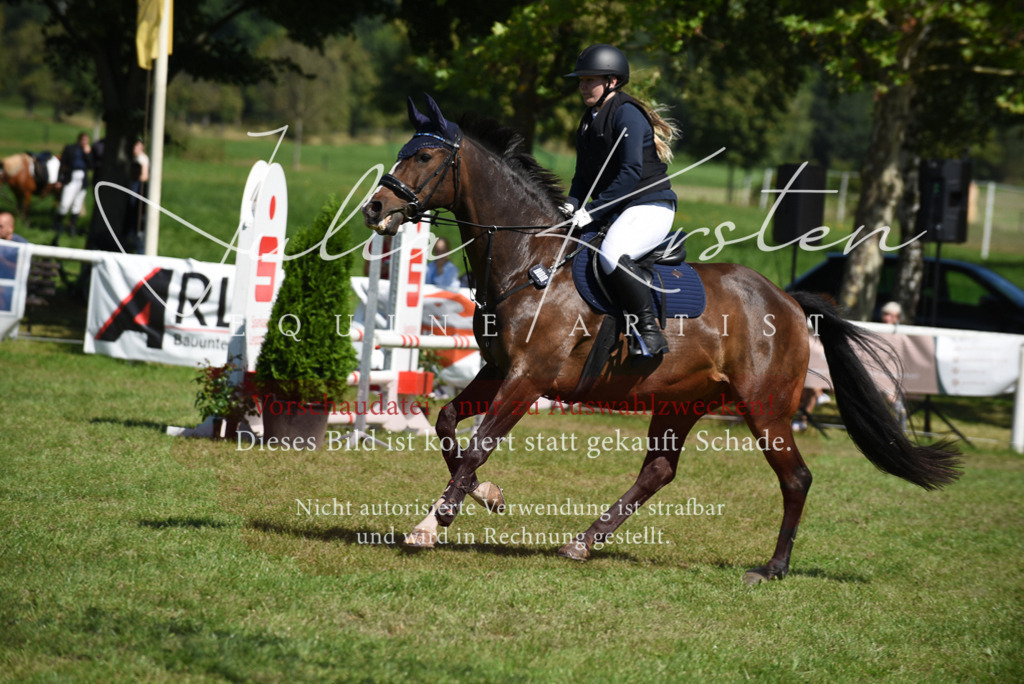 DSC_9394 | Pferde- und Turnierfotografie in Westsachsen. Pferdeportraits, Auftragszeichnungen und intuitive Kunst.