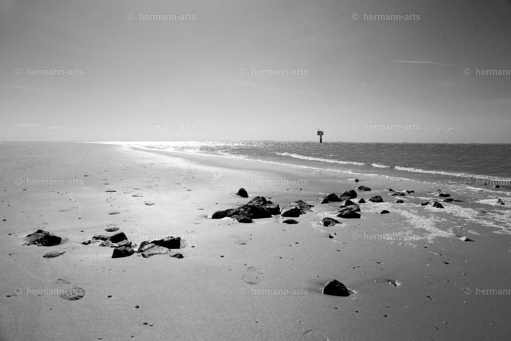 Hermann-Arts_Seaside_251 | Photo Foto Kunst Art schwarzweiss Bilder Rheine Münster Berlin Blumen 