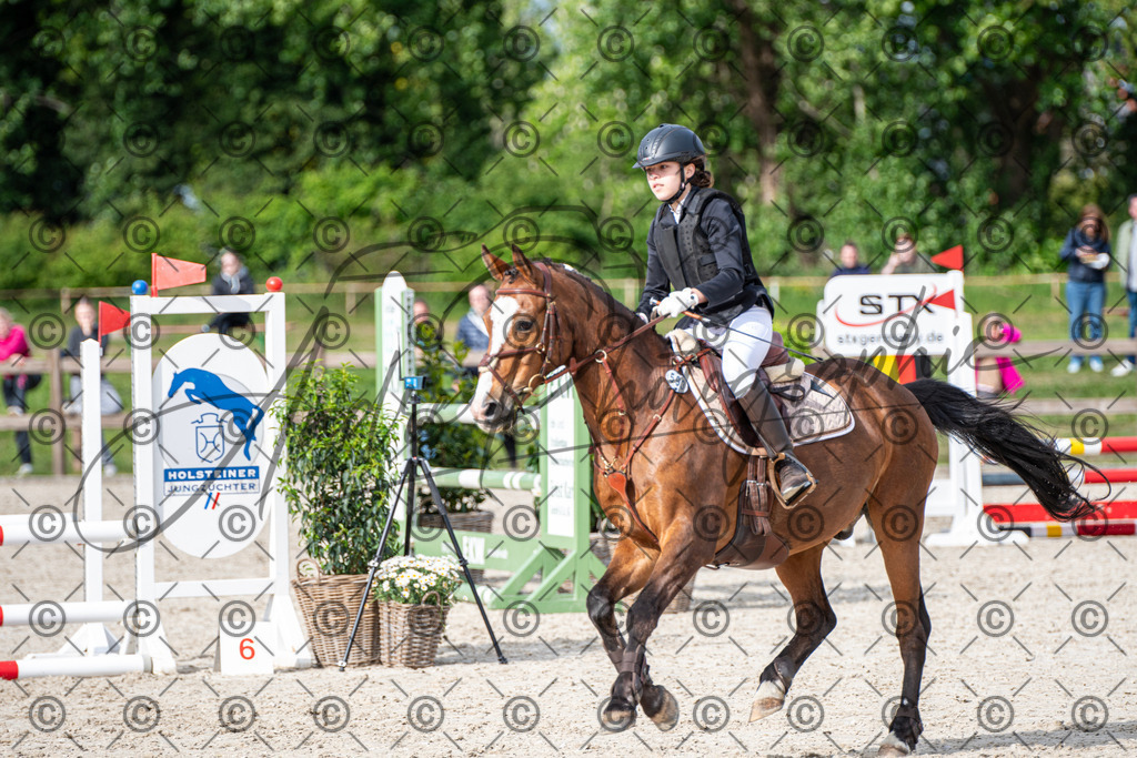 KPT_6654 | andre_photographic