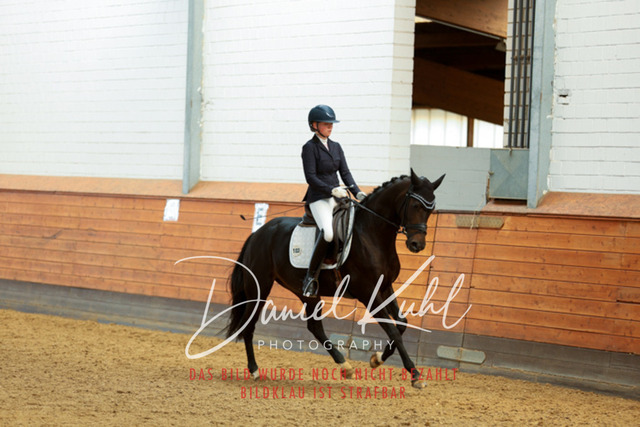 _62_7325 | Turniersportfotografie; Pferdefotografie; Dressurfotografie