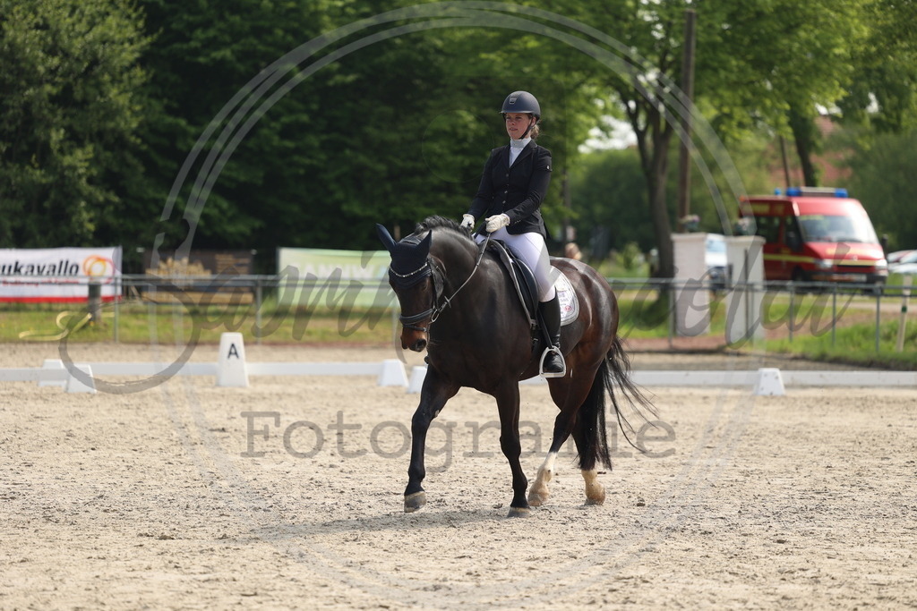 994A6604 | sabrinanicolaifotografie - Realisiert mit Pictrs.com