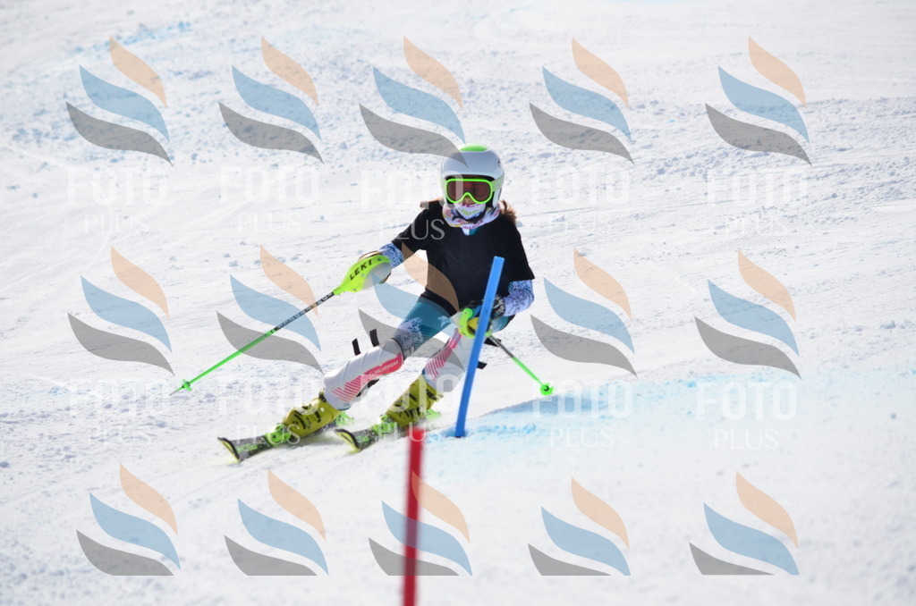 C9977 | holidayphoto