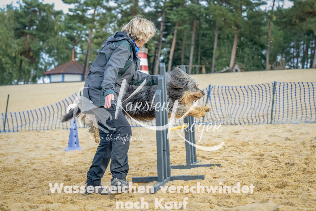 0908_ZZ91894-Bearbeitet | kk-dogfotos