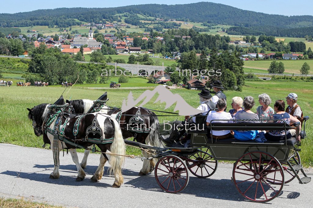 OE7A8489 | es geht wieder hinunter zurück nach Rinchnach
