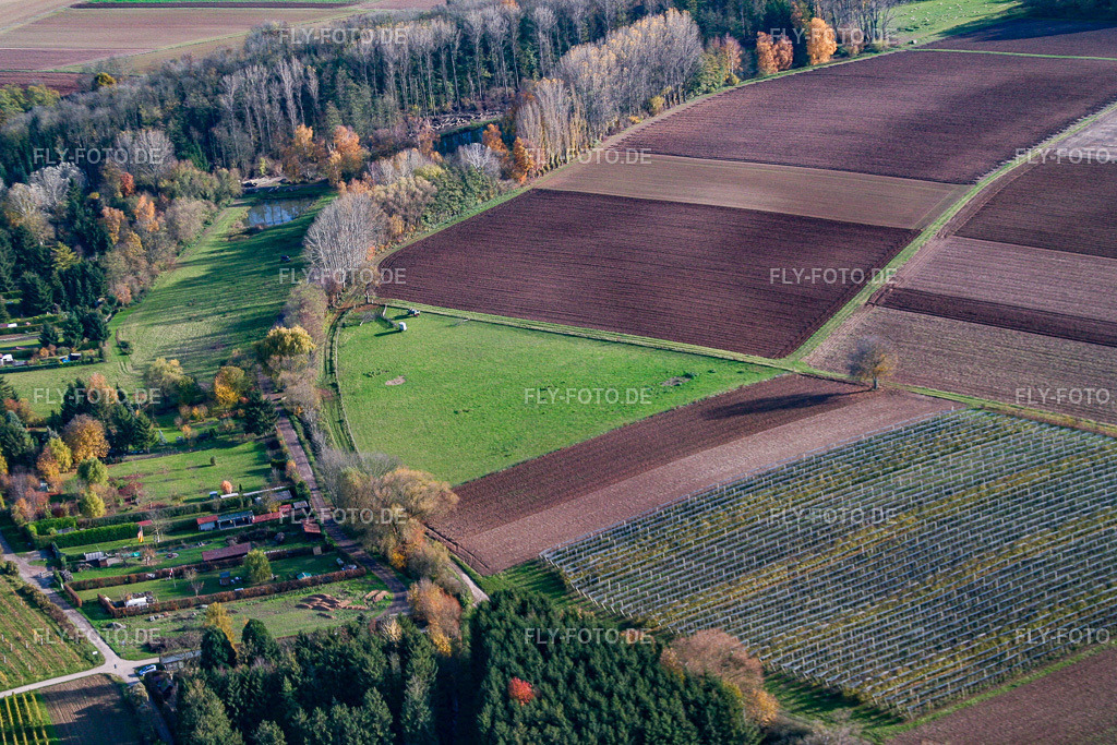 Weide | Luftbild: Weide in Rohrbach im Bundesland Rheinland-Pfalz in Deutschland. Foto: IMG_14520.jpg vom 08.11.2008 durch Werner Riehm/FLY-FOTO.de - Realisiert mit Pictrs.com