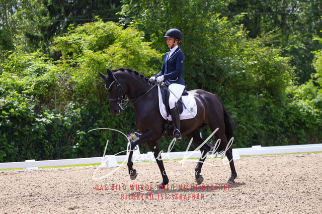 DKP41049 | Turnierfotos kaufen im Webshop von Daniel Kuhl Photography – entdecke professionelle Reitsportfotos aus Turnieren & Events. Hochwertige Turnierbilder online bestellen & sichern. Jetzt Fotos von Reitsportturnieren kaufen!