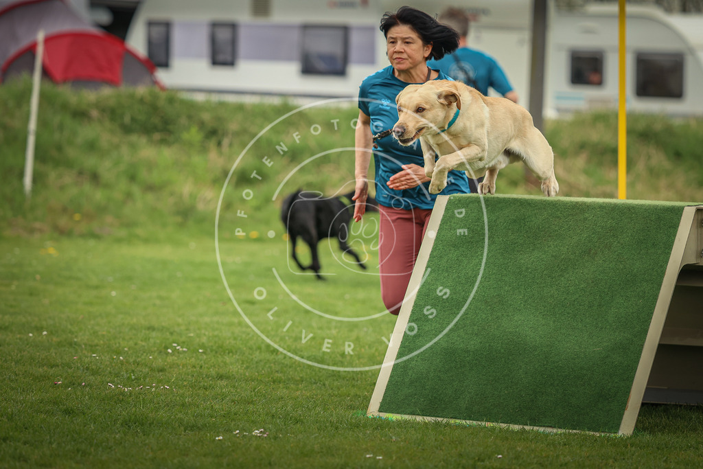 Pfotenfotografie_0L8A0674 | Hundefotografie, Tierfotograf, Pfotenfotografie, Fotoshooting Hund, Hunde Portrait, Hundesport, Hundeportraits, Heideshooting, Hunde, Sportfotograf, Hundefotograf, Turnierhundsport, THS,  - Realisiert mit Pictrs.com