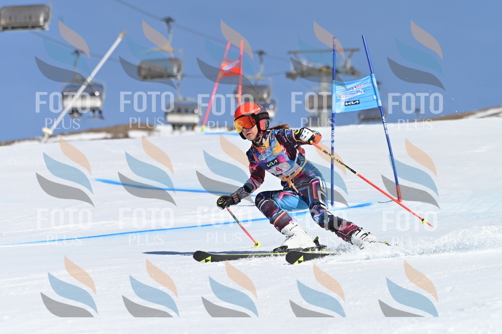 BGV_7641 | holidayphoto