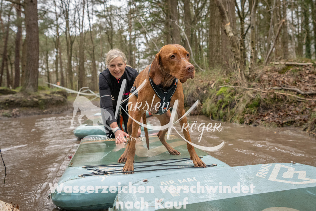 1145_ZZ94617 | kk-dogfotos