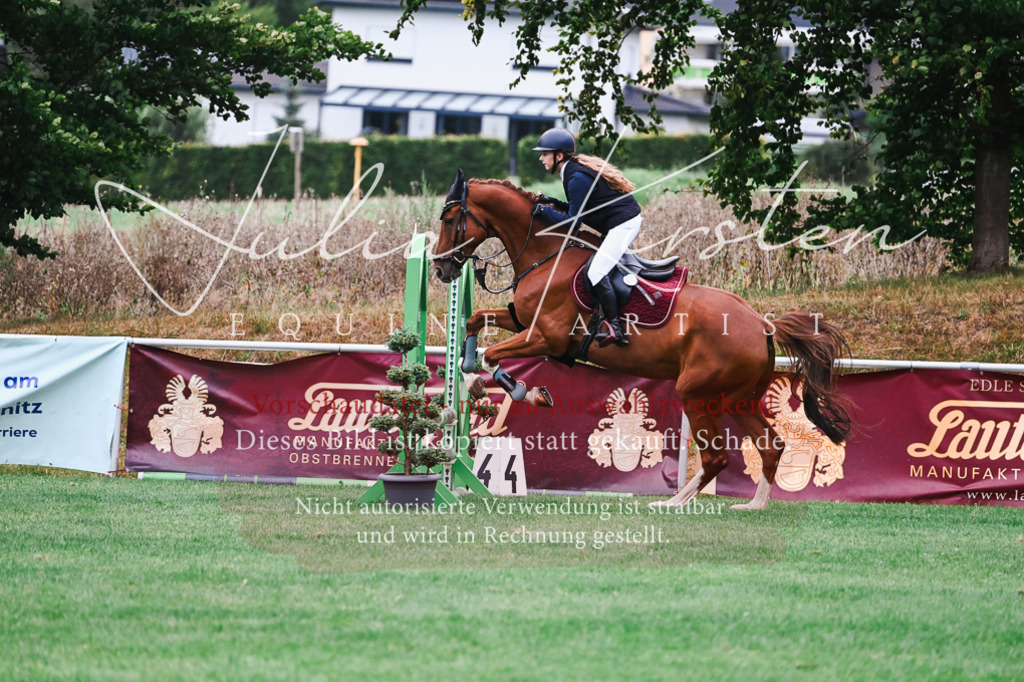 DSC_5907 | Pferde- und Turnierfotografie in Westsachsen. Pferdeportraits, Auftragszeichnungen und intuitive Kunst.
