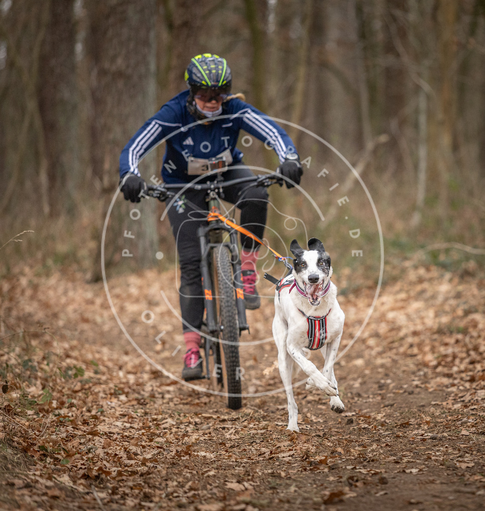 Pfotenfotografie_DV3A0138 | Hundefotografie, Tierfotograf, Pfotenfotografie, Fotoshooting Hund, Hunde Portrait, Hundesport, Hundeportraits, Heideshooting, Hunde, Sportfotograf, Hundefotograf, Turnierhundsport, THS,  - Realisiert mit Pictrs.com