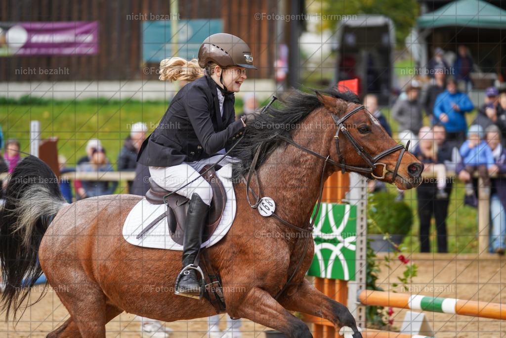 20221009-FAH08565 | Diessen am Ammersee, 2022, Dressur- und Springturnier, Reitsportbilder, Turnierfotografen Bayern, Pferdefotografen, Fotoagentur Herrmann, Turnierbilder