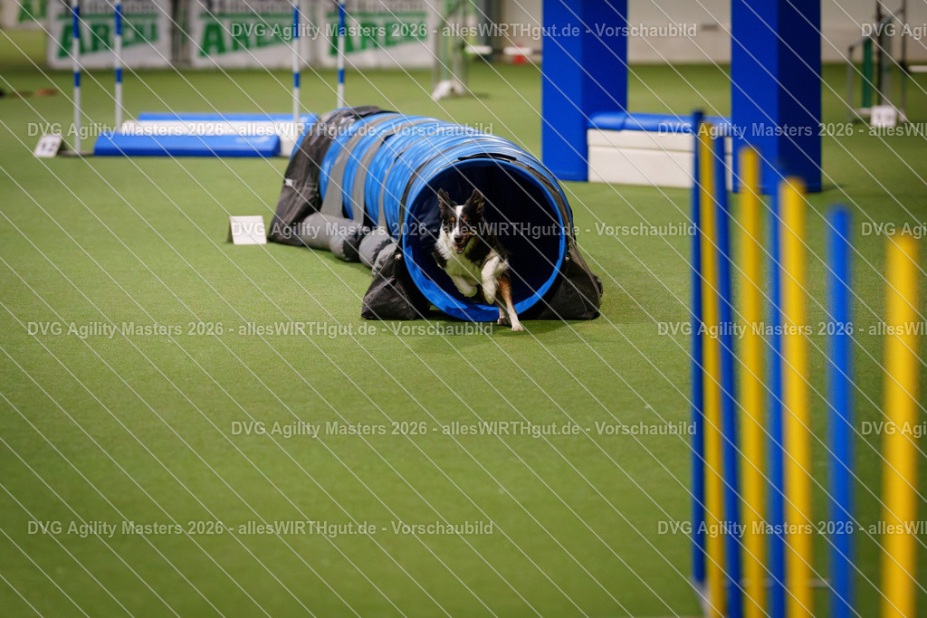 allesWIRTHgut_Tierfotografie-DVG_Agility_Masters_2026-07_20-7R507161 | Professionelle Tierfotografie in Mönchengladbach von Daniel Wirth (allesWIRTHgut). Liebevolle & natürliche Bilder von Hunden & Katzen für unvergessliche Erinnerungen.