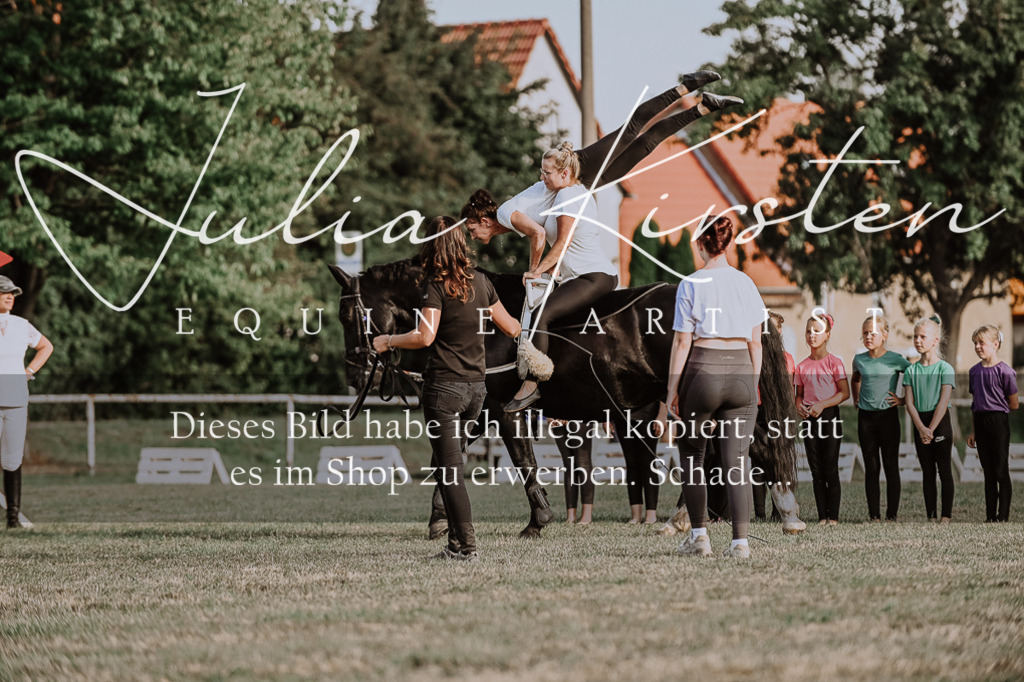 DSC_0036 | Pferde- und Turnierfotografie in Westsachsen. Pferdeportraits, Auftragszeichnungen und intuitive Kunst.
