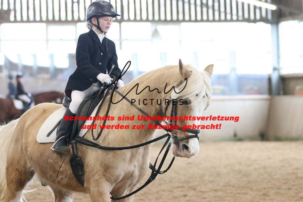 IMG_4881 | lmwpictures - Realisiert mit Pictrs.com