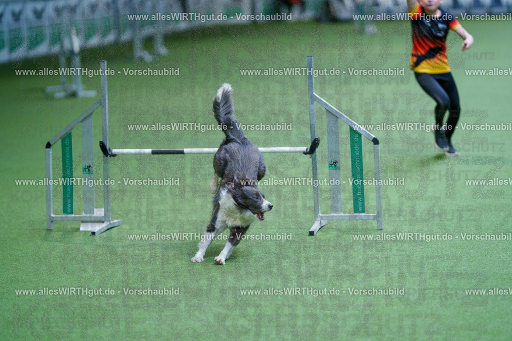 @allesWIRTHgut_Tierfotografie - www.allesWIRTHgut.de - 2604261227-7R500953 | Professionelle Tierfotografie in Mönchengladbach von Daniel Wirth (allesWIRTHgut). Liebevolle & natürliche Bilder von Hunden & Katzen für unvergessliche Erinnerungen.