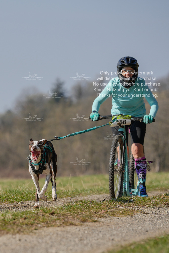 Scooter_Lang-101 | stephaniefillaphotographie - Realisiert mit Pictrs.com