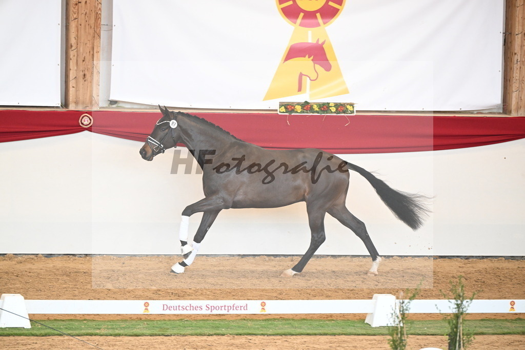 Kat.-Nr. 87 v. Vitalis_Berger _ Beckmann_2250948 | hf-fotografie - Realisiert mit Pictrs.com