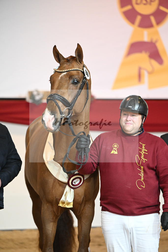 Kat-Nr. 80 Viva Gold_Buergers_1232283 | hf-fotografie - Realisiert mit Pictrs.com