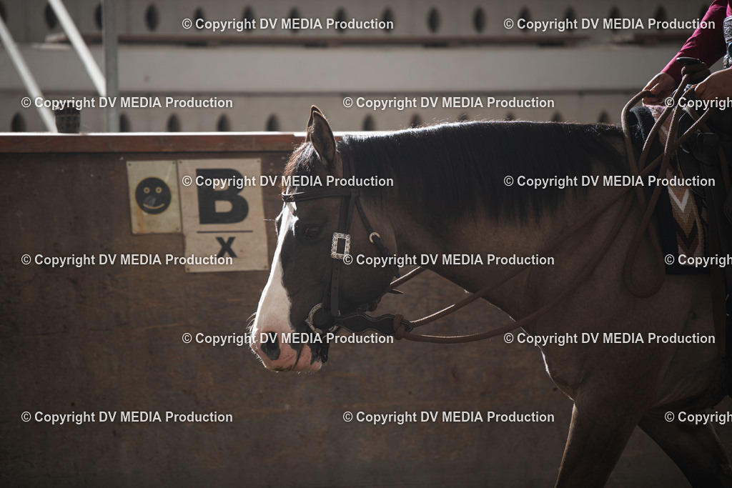 Heiligenwald Tag 1-353 | dv-media-shop - Realisiert mit Pictrs.com