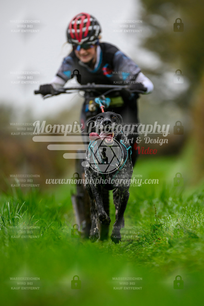 MompixPhotography_20TSB_E8_DS1-18 | PayLife