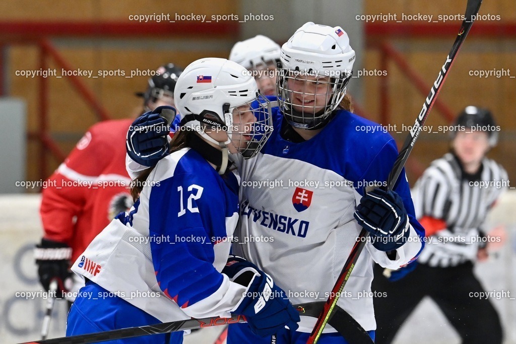 BST_3701 | hockey sports photos, Pressefotos, Sportfotos, hockey247, win 2day icehockeyleague, Handball Austria, Floorball Austria, ÖVV, Kärntner Eishockeyverband, KEHV, KFV, Kärntner Fussballverband, Österreichischer Volleyballverband, Alps Hockey League, ÖFB, 