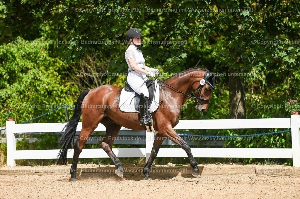 20230715_02_Dressurreiterprüfung Kl.L_0197 | equistock