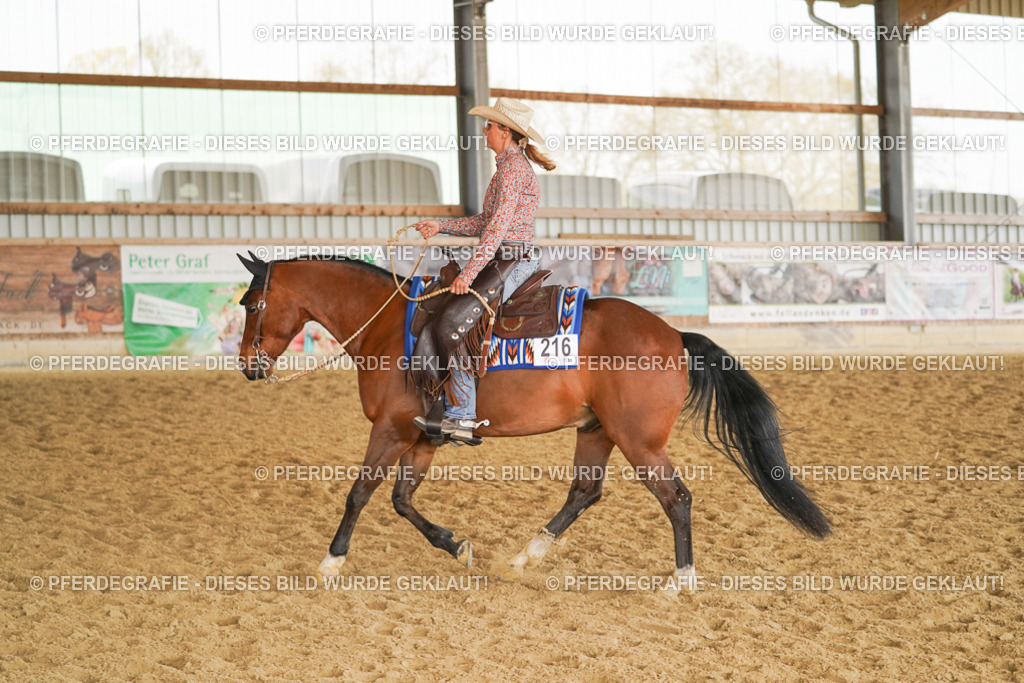 DSC01042 | Pferdegrafie