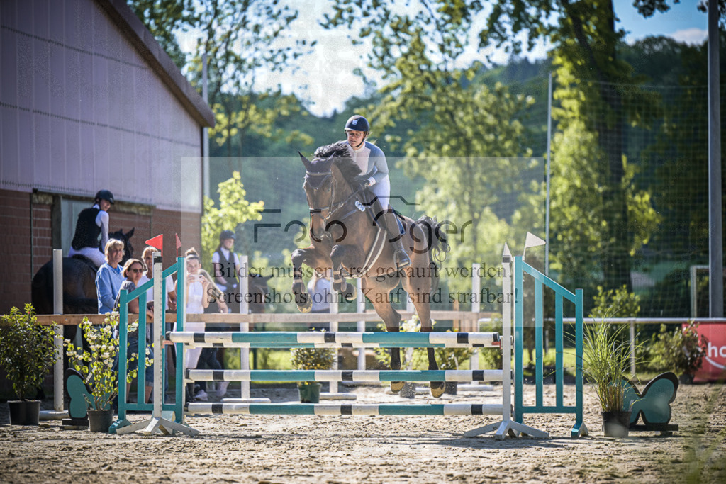 DOS_2523 | Entdecke hochwertige Reitturnierfotos von Foto Oger. Professionell, emotional und authentisch – jetzt Lieblingsmomente im Shop bestellen.Deutschlandweite Turnierfotografie. - Realisiert mit Pictrs.com