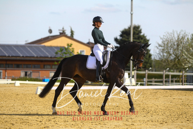 DKP43310 | Turniersportfotografie; Pferdefotografie; Dressurfotografie