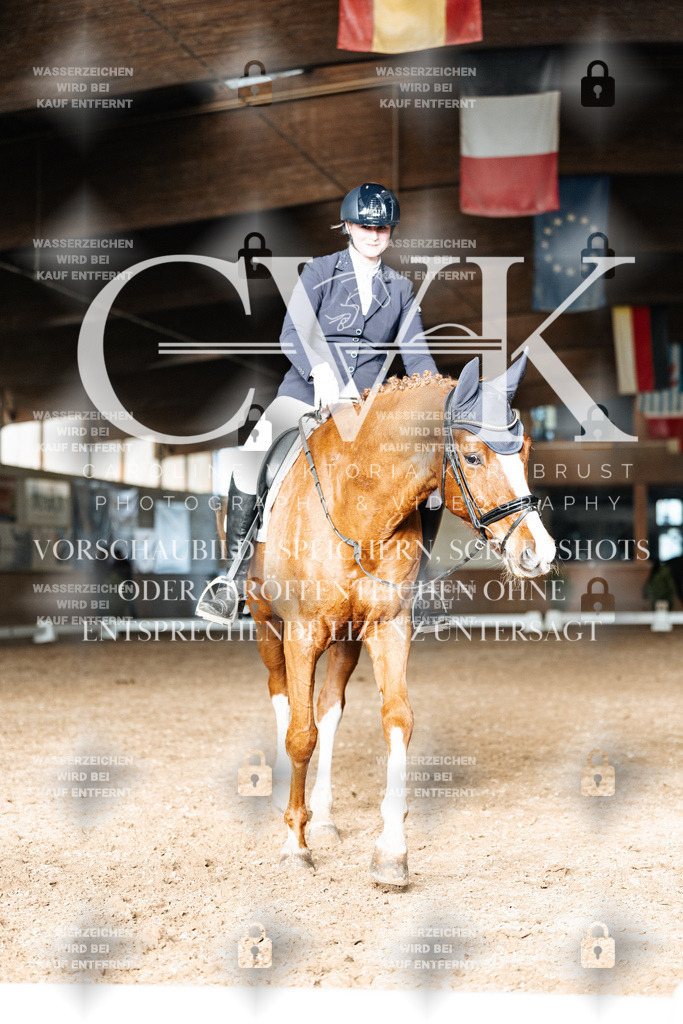 CK902835 | Turnierfotografie Pferdefotografie Trier Rheinland-Pfalz Pferdesport Reitsport Tierfotografie Sportfotografie Pferdevideo Pferdevideografie Equestrianvideography equestrianphotography  - Realisiert mit Pictrs.com