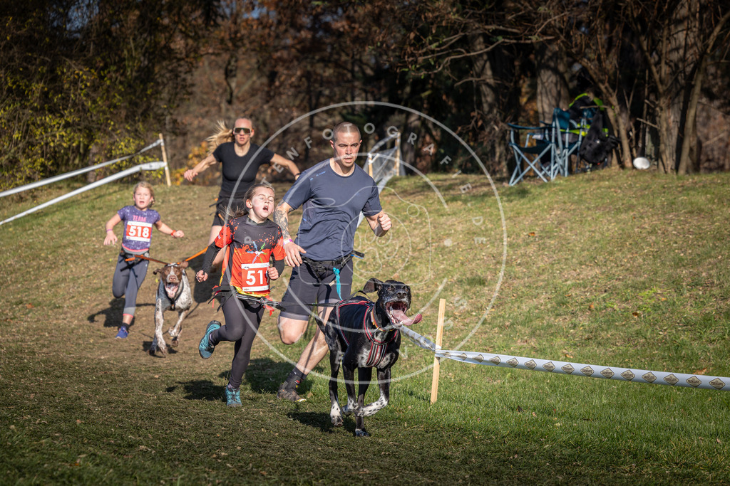 CaniXpix_0L8A8611 | Hundefotografie, Tierfotograf, Pfotenfotografie, Fotoshooting Hund, Hunde Portrait, Hundesport, Hundeportraits, Heideshooting, Hunde, Sportfotograf, Hundefotograf, Turnierhundsport, THS,  - Realisiert mit Pictrs.com