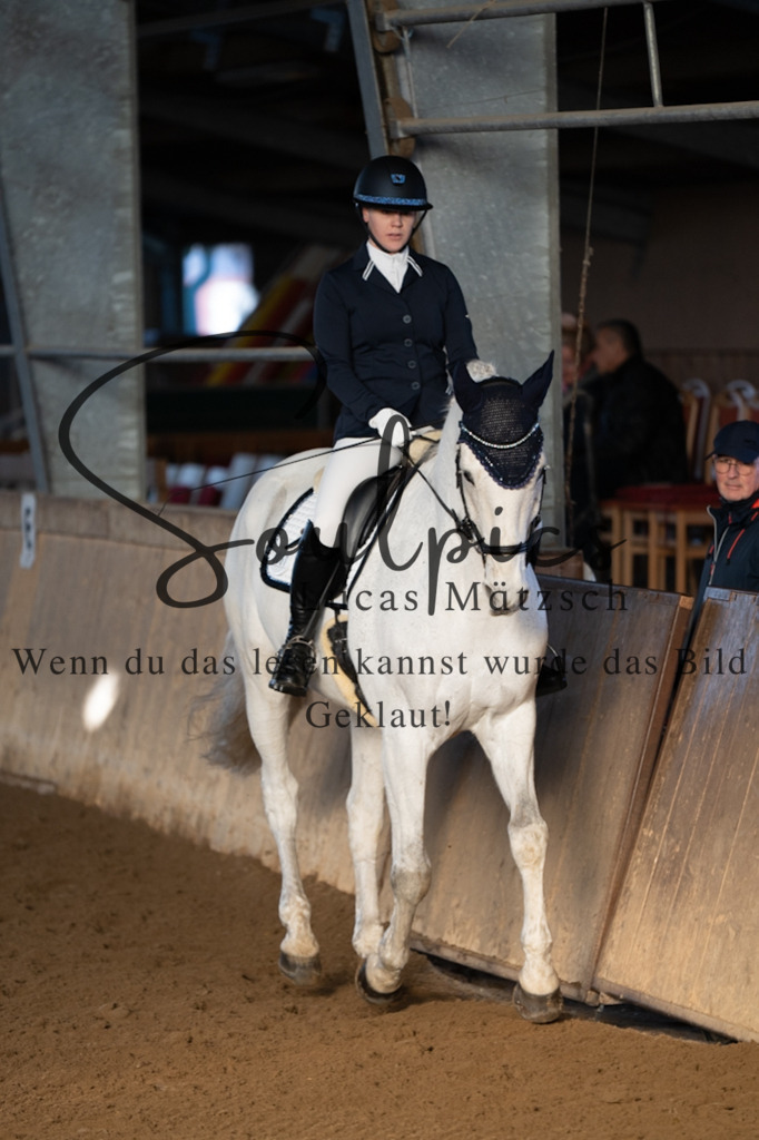 A7V05698 | Pferdefotograf