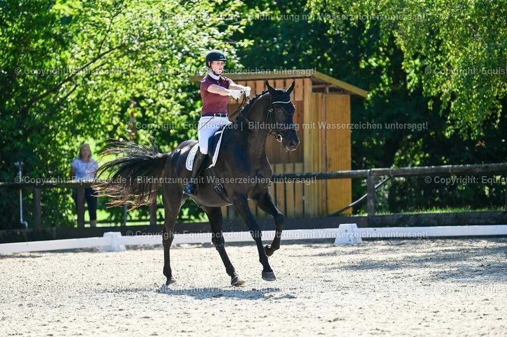 20230908_06_Dressur-L-Trense_0757 | equistock