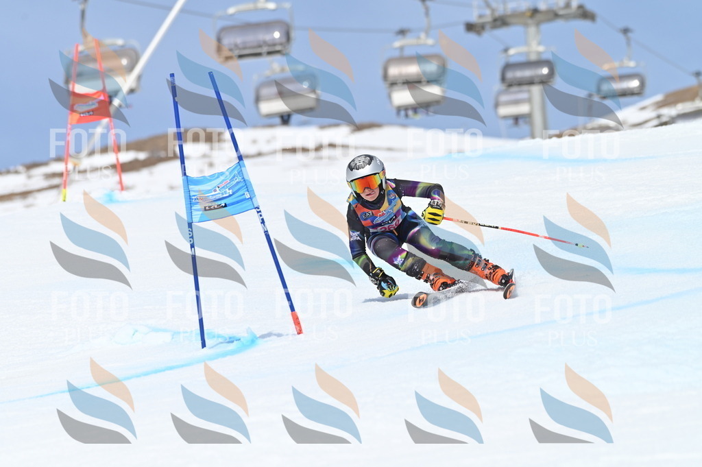 BGV_2196 | holidayphoto