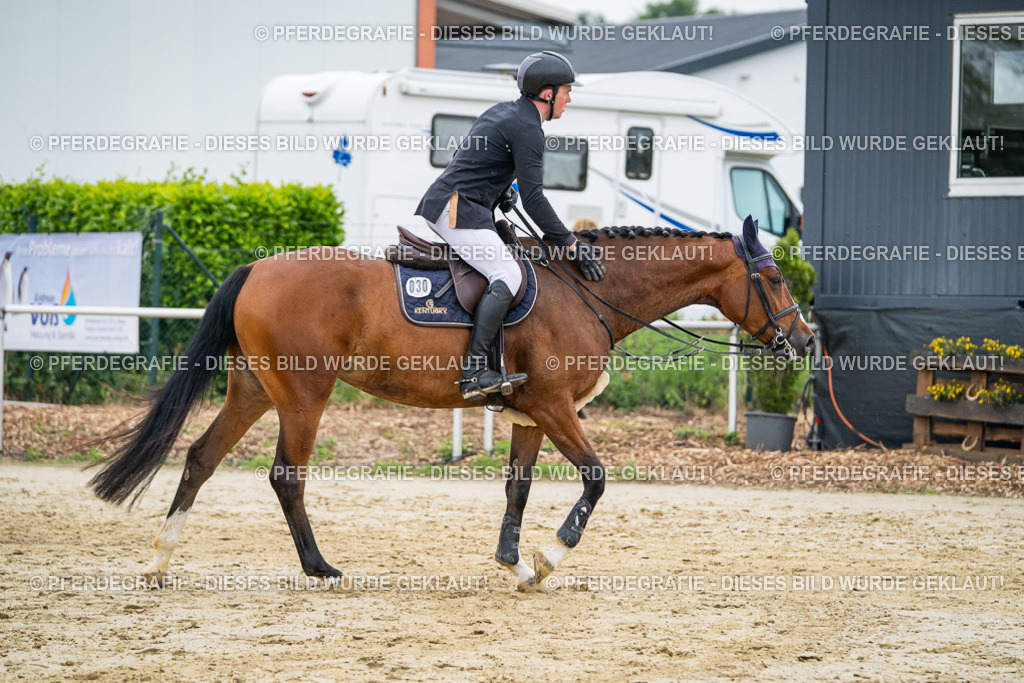 DSC00611 | Pferdegrafie