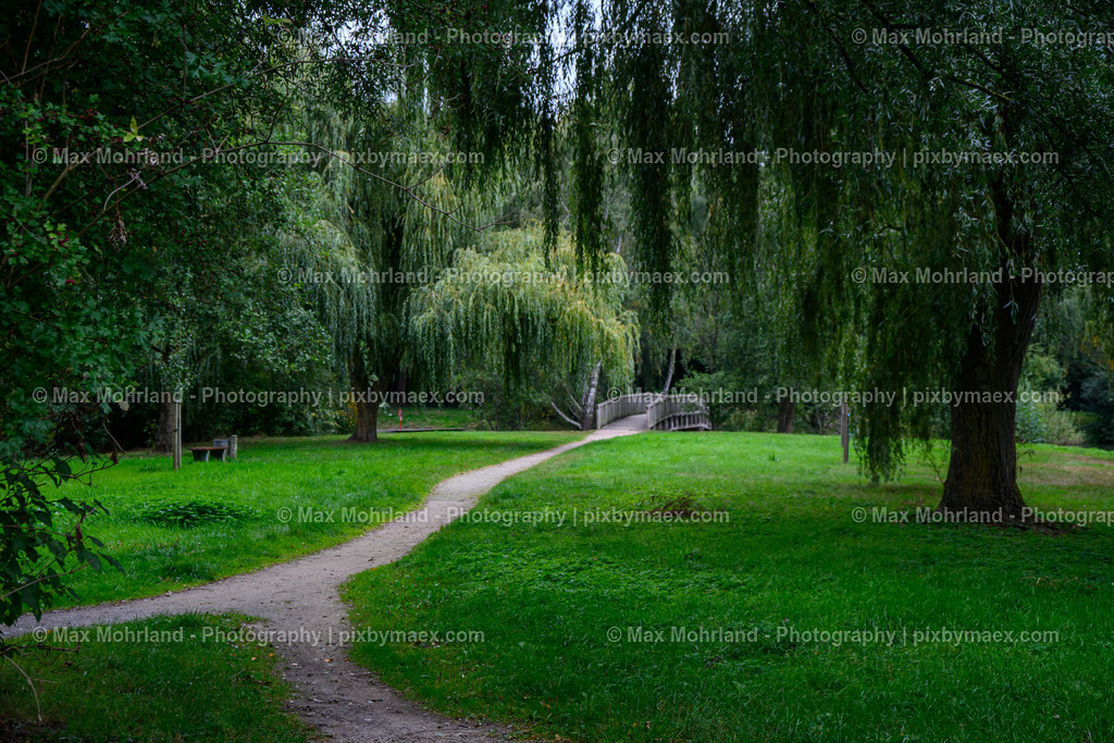 20250929-SUL_7142 | Max Mohrland - Photography - Realisiert mit Pictrs.com