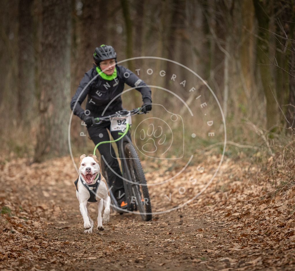 Pfotenfotografie_DV3A7093 | Hundefotografie, Tierfotograf, Pfotenfotografie, Fotoshooting Hund, Hunde Portrait, Hundesport, Hundeportraits, Heideshooting, Hunde, Sportfotograf, Hundefotograf, Turnierhundsport, THS,  - Realisiert mit Pictrs.com