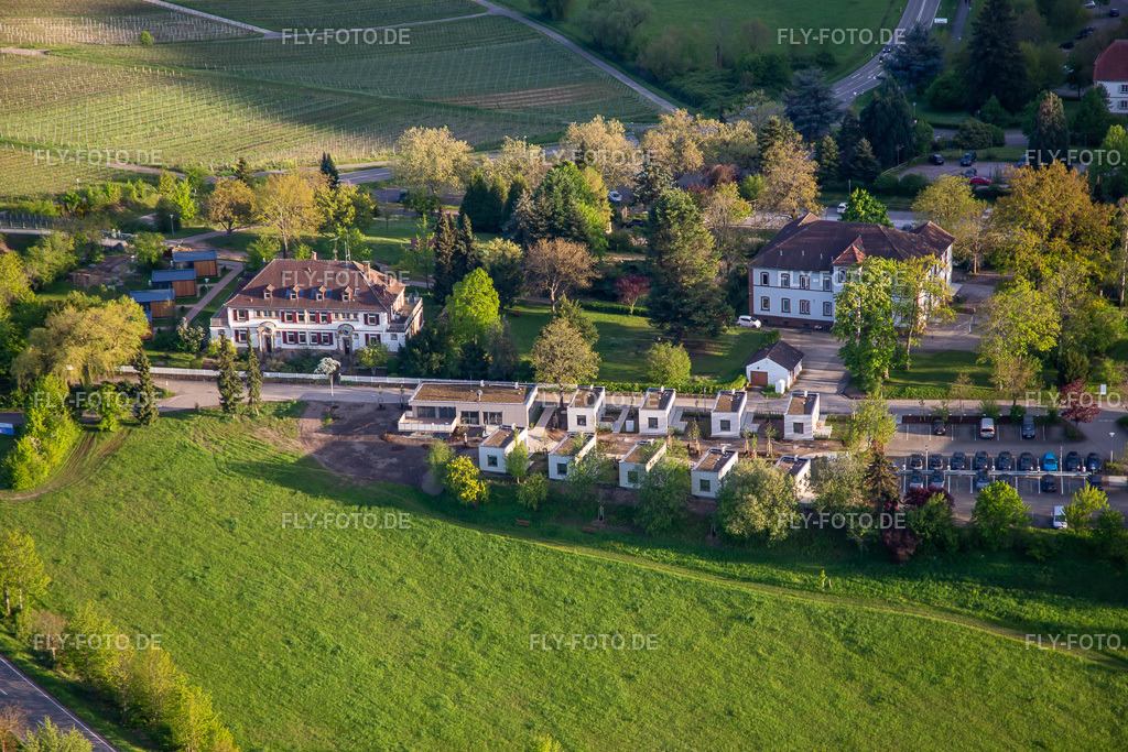 Pfalzklinikum für Psychiatrie und Neurologie "Landeck" mit Abteilung für Allgemeinpsychiatrie und Abhängigkeitserkrankungen – Klinik für Psychiatrie, Psychosomatik und Psychotherapie, Klinik für Forensische Psychiatrie, Klinik für Gerontopsy | Luftbild: Pfalzklinikum für Psychiatrie und Neurologie "Landeck" mit Abteilung für Allgemeinpsychiatrie und Abhängigkeitserkrankungen – Klinik für Psychiatrie, Psychosomatik und Psychotherapie, Klinik für Forensische Psychiatrie, Klinik für Gerontopsychiatrie, Psychosomatik, und Psychotherapie, Klinik für Neurologie, Klinik für Psychiatrie, Psychosomatik und Psychotherapie, Klinik für Kinder- und Jugendpsychiatrie, Psychosomatik und Psychotherapie sowie Institutsambulanz, Psychiatrische Institutsambulanzen – Klinik für Psychiatrie, Psychosomatik und Psychotherapie www.pfalzklinikum.de in Klingenmünster im Bundesland Rheinland-Pfalz in Deutschland. Foto: IMG_140313.jpg vom 23.04.2024 durch ©2025 Werner Riehm fly-foto.de/copyright - Realisiert mit Pictrs.com