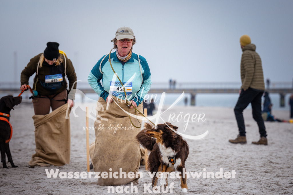 1234_ZZ94748 | kk-dogfotos